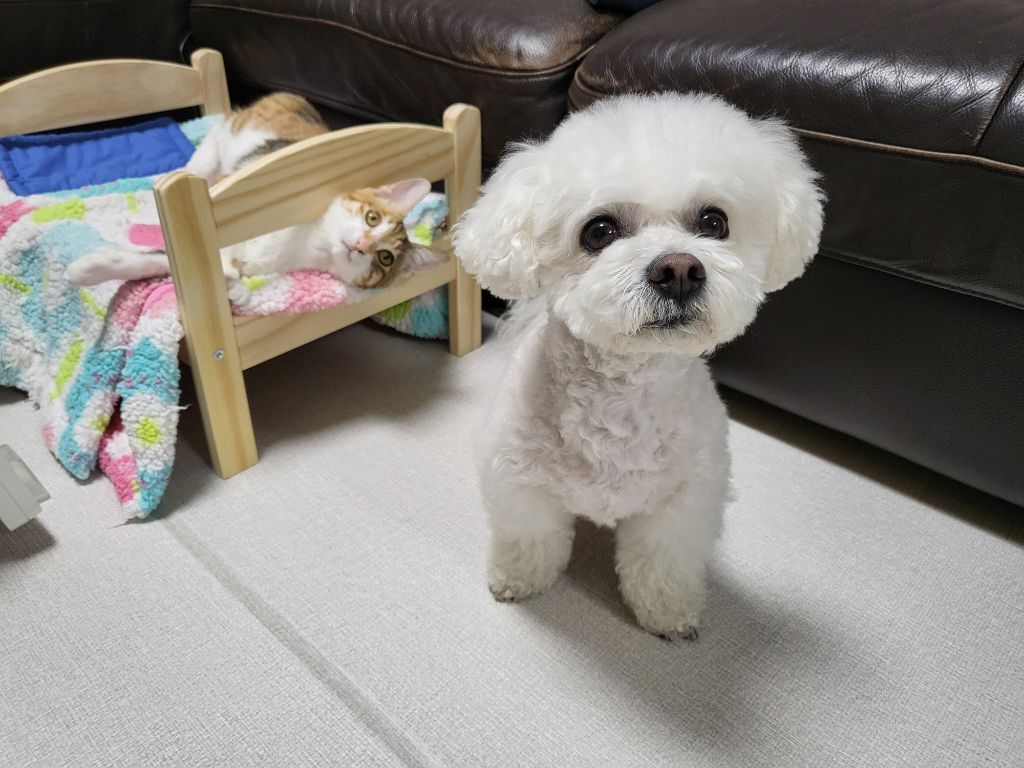 프사 땜에 못참고 사담거는 업체 직원들 넘 웃김 ++ 월요일이니까 조금 더 추가,,, | 인스티즈