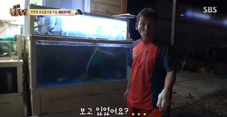 매일 생선털리는 횟집사장님 (Feat.달수) | 인스티즈