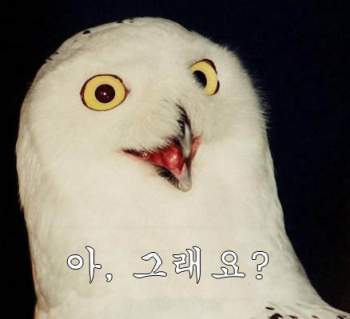 여자들이 왠지 모르게 괜히 기죽고 나오는 장소 TOP3 | 인스티즈