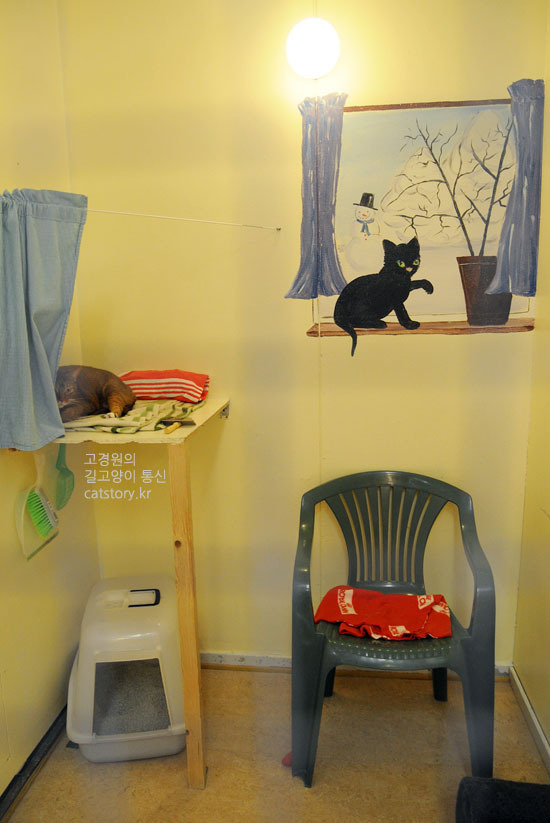 스웨덴의 고양이 보호소.bgm | 인스티즈