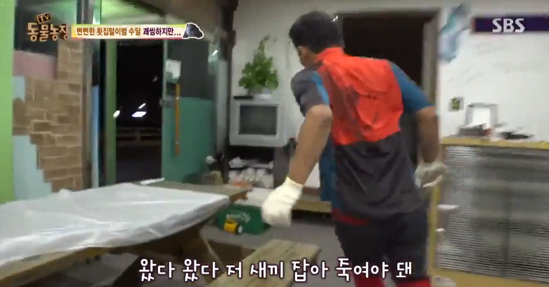 매일 생선털리는 횟집사장님 (Feat.달수) | 인스티즈