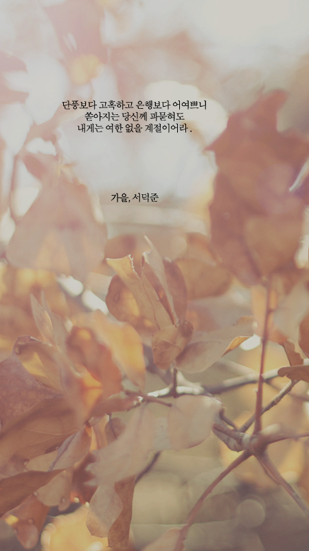 서덕준 시 모음 1 | 인스티즈