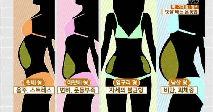 뱃살의 유형과 그 원인들.jpg | 인스티즈