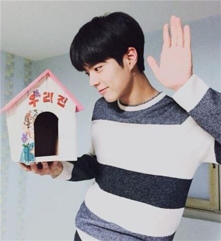 남자 연예인들 주량 모음 | 인스티즈