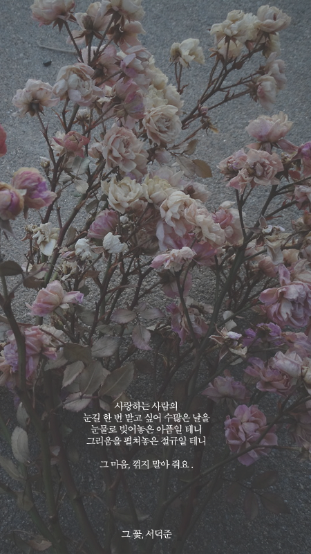 서덕준 시 모음 1 | 인스티즈