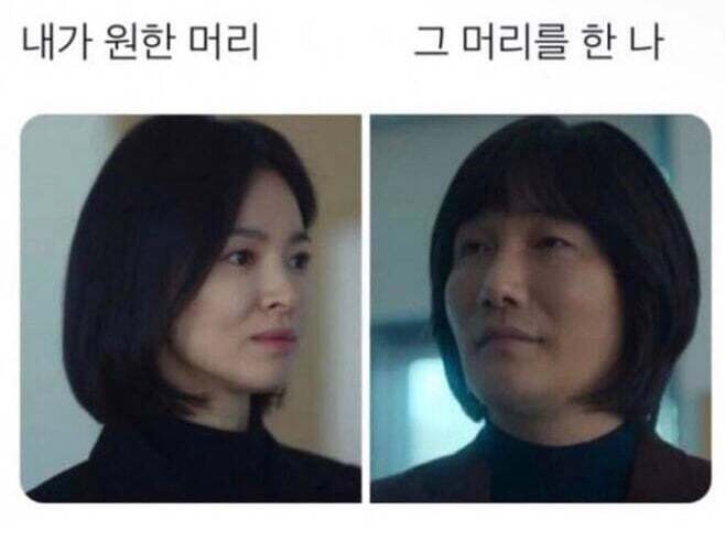 최신 단발병 퇴치짤.jpg | 인스티즈