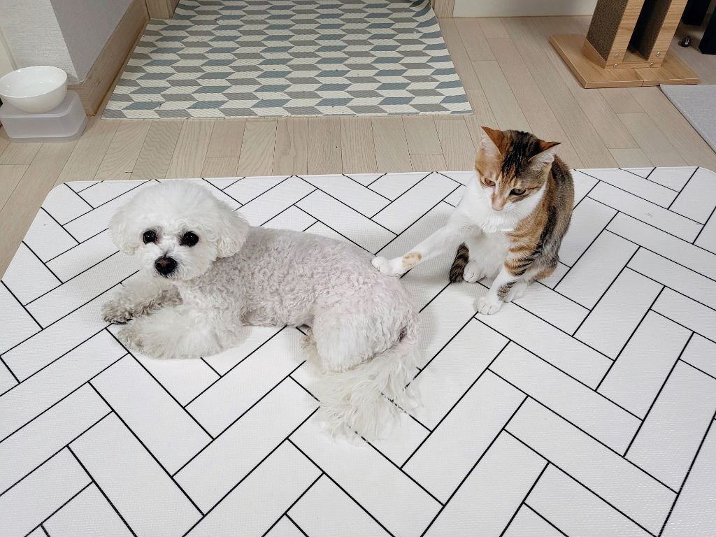 프사 땜에 못참고 사담거는 업체 직원들 넘 웃김 ++ 월요일이니까 조금 더 추가,,, | 인스티즈