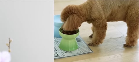 내가 본 연예인 집들 중 제일 짱예롭고 센스있는 것 같은 최화정 집 인테리어.jpg | 인스티즈