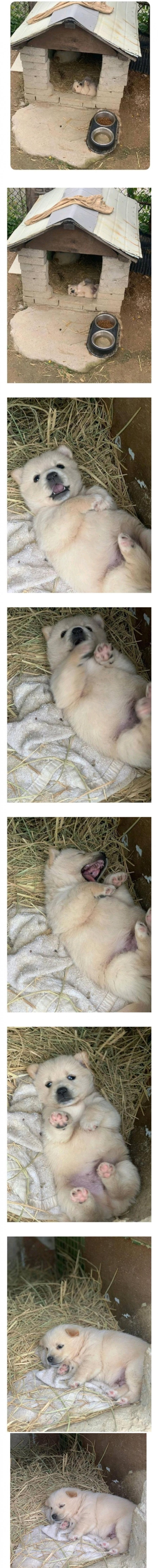 다른데서는 보기 힘든 아늑함.JPG | 인스티즈