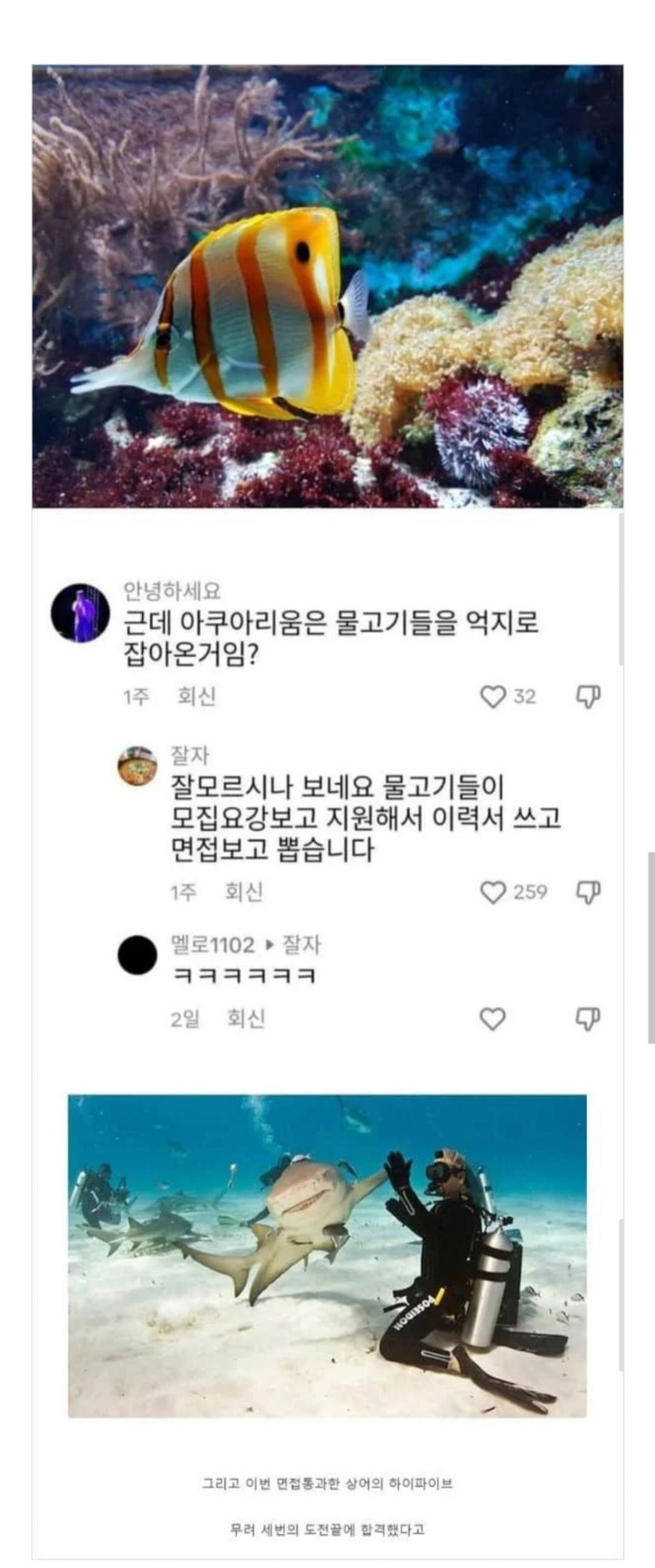 아쿠아리움 물고기는 억지로 잡아온 거임? | 인스티즈