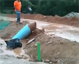 거북알 아이스크림.gif | 인스티즈