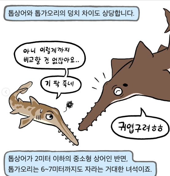 개쎄게 생긴 물고기 | 인스티즈