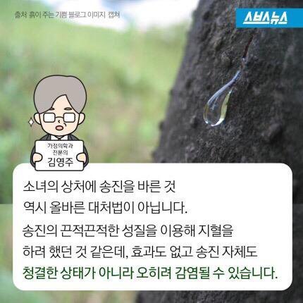 황순원의 소나기에서 소녀가 죽은 이유 | 인스티즈
