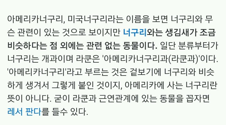 우리가 흔히 너구리로 알고있는 애들의 진실 | 인스티즈