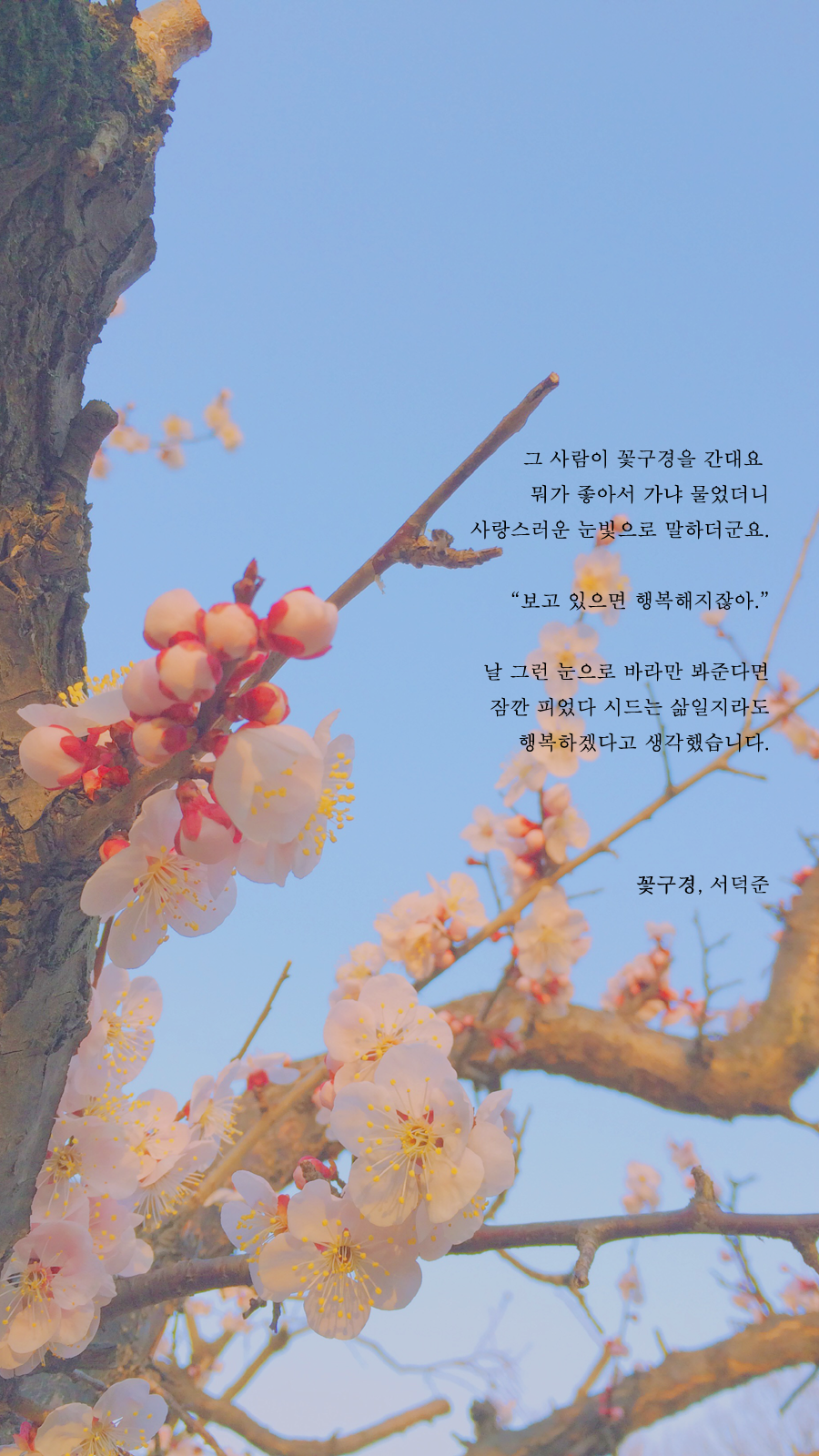 서덕준 시 모음 1 | 인스티즈