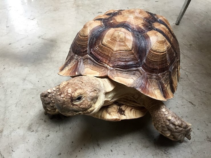 Part.2 데이트하기 좋은 이색&테마 카페 모음 합정/상수/홍대 | 인스티즈