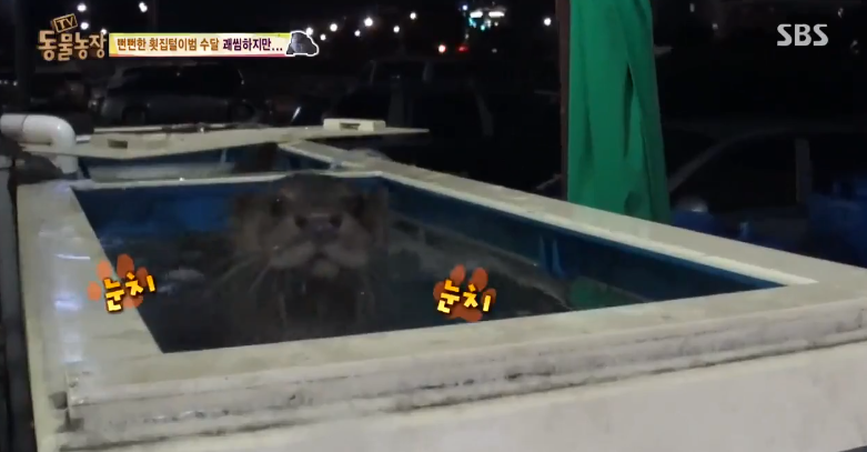 매일 생선털리는 횟집사장님 (Feat.달수) | 인스티즈