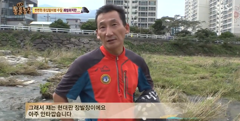 매일 생선털리는 횟집사장님 (Feat.달수) | 인스티즈