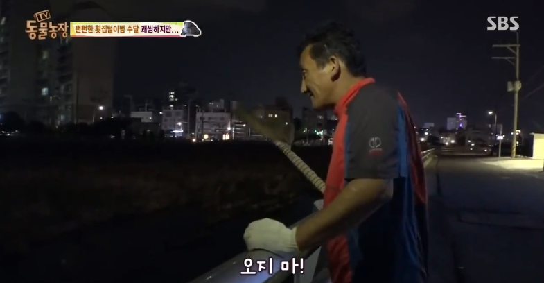 매일 생선털리는 횟집사장님 (Feat.달수) | 인스티즈