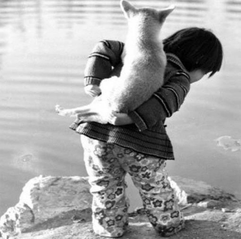 1970년도 그시절 강아지들 | 인스티즈