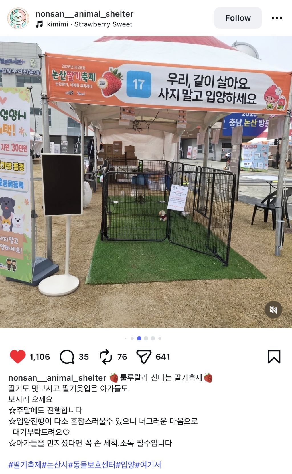 논산딸기축제 기간 4일간 유기견 53마리 새 가족 품으로 | 인스티즈