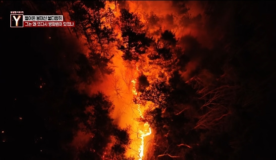 이번에 불다람쥐가 새롭게 불태운 우리 산간 면적 | 인스티즈