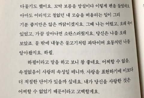 당신은 평생 이 정도로 사랑하는 감정을 알지 못할 거야 | 인스티즈