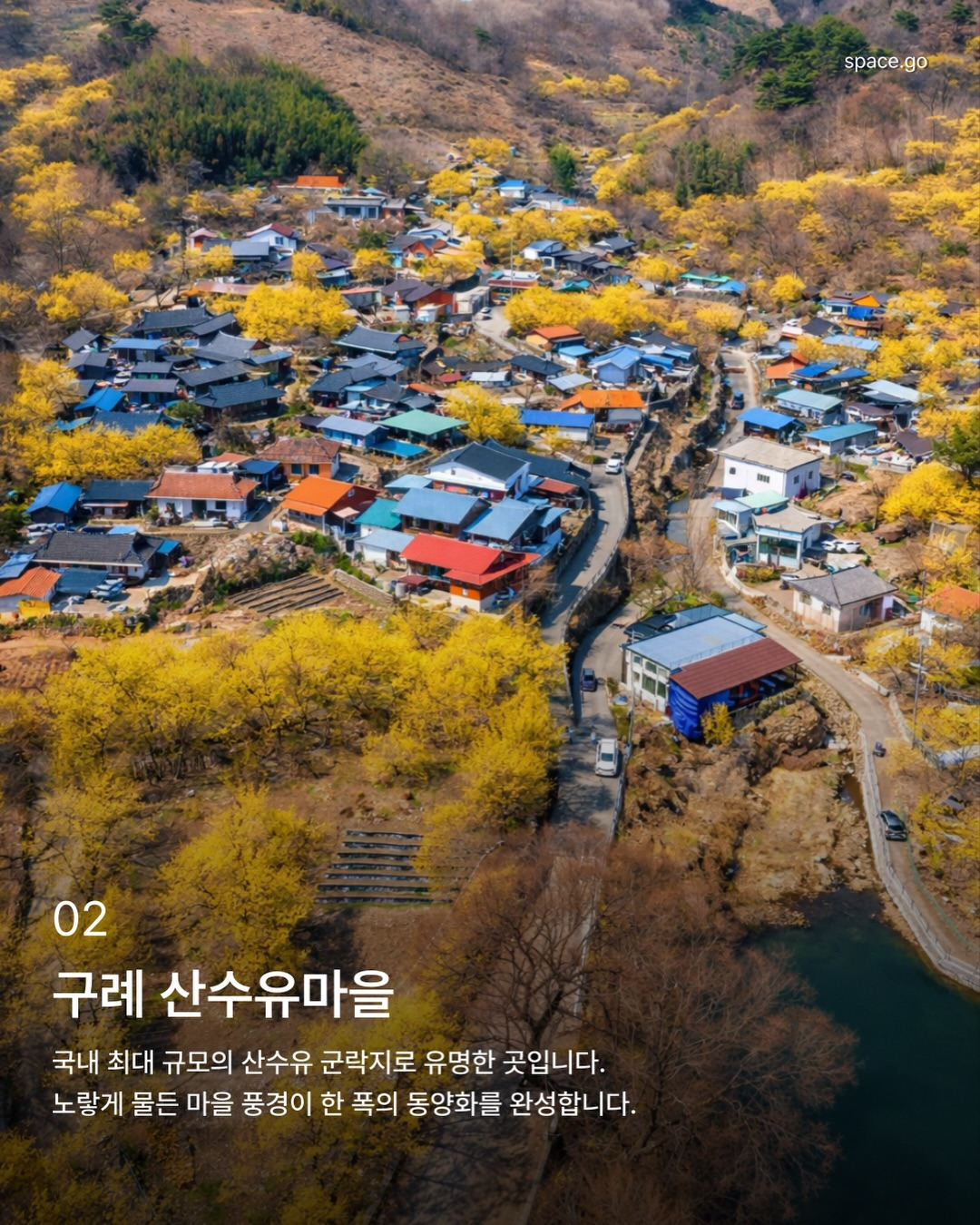 국내 꽃놀이 명소 | 인스티즈