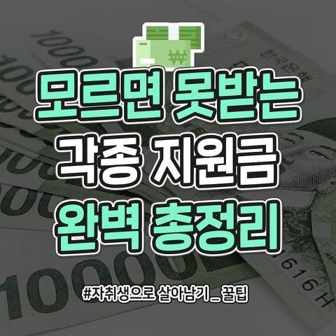 모르면 못받는 각종 지원금 정리 | 인스티즈
