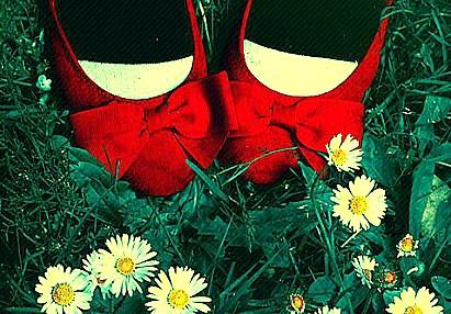 밤마다 인생을 미워하고 잠이들었던 그대, 굳이 인생을 사랑하지 않아도좋다 (글귀모음) | 인스티즈