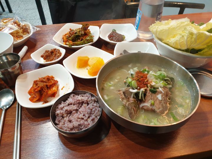 반년동안 제주도에 300만원 쓴 대학생의 제주 여행지 추천 | 인스티즈