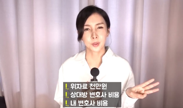 현직변호사가 말하는 악플 하나에 수천만원 내게 되는 과정 | 인스티즈