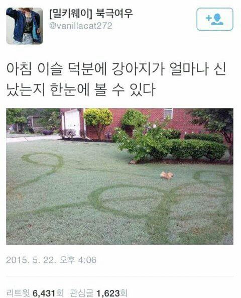 아 이 지하철 안타면 지각이라서 진짜 뛰었는데 문닫히길래 | 인스티즈