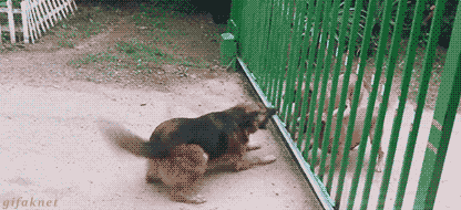 키보드 워리어의 현실 .gif | 인스티즈
