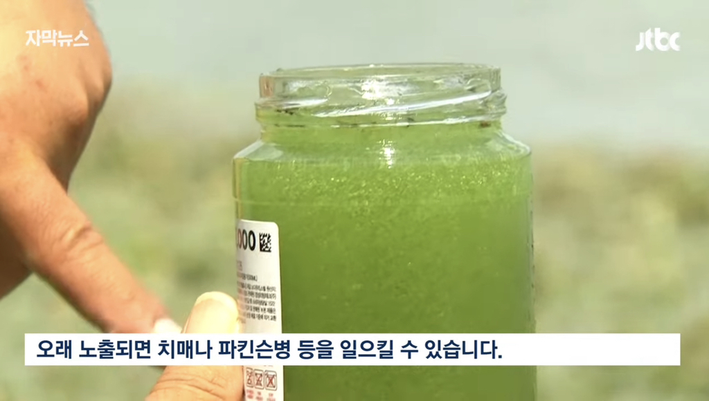 4대강 근황 | 인스티즈