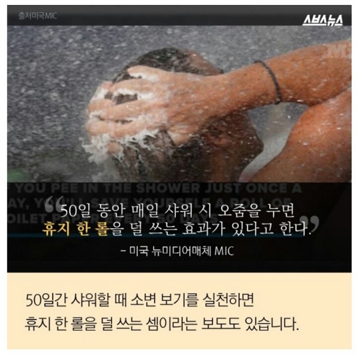 호불호 혹은 찬반충격설 까지 언급된 이효리 소변 발언.jpg | 인스티즈