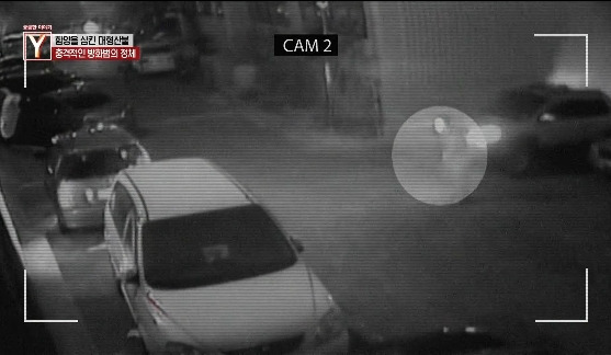 이번에 불다람쥐가 새롭게 불태운 우리 산간 면적 | 인스티즈