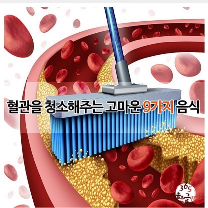 혈관을 청소해주는 고마운 음식 9가지 | 인스티즈