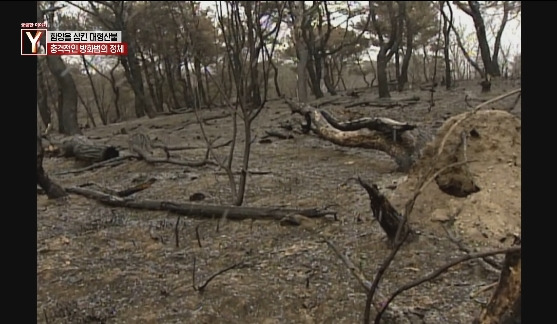이번에 불다람쥐가 새롭게 불태운 우리 산간 면적 | 인스티즈