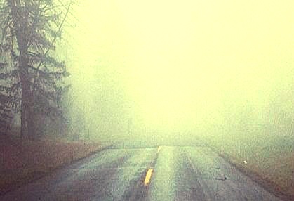 밤마다 인생을 미워하고 잠이들었던 그대, 굳이 인생을 사랑하지 않아도좋다 (글귀모음) | 인스티즈