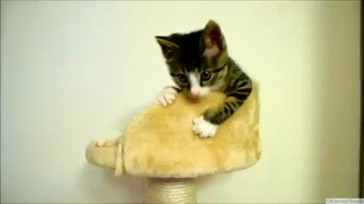 대본 보는 눈이 까다롭기로 소문난 박신양이 이틀만에 연락했다는 작품 | 인스티즈