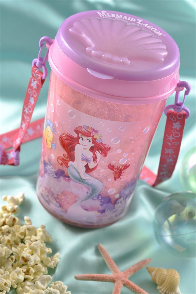 스압) 디즈니랜드의 또 하나의 묘미 디즈니랜드 팝콘통 | 인스티즈