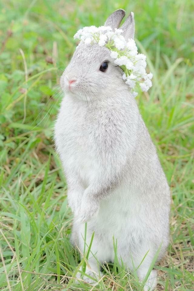 늙남 전시로 평범한 여자들이 피해보는 이유 | 인스티즈