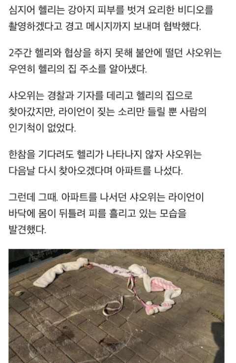 이웃이 6층 베란다서 던져 숨진 웰시코기 반려견 끌어안고 '오열'한 주인 | 인스티즈