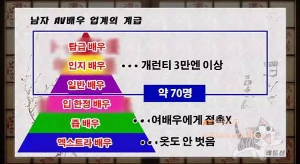 남자 AV 배우의 세계 | 인스티즈