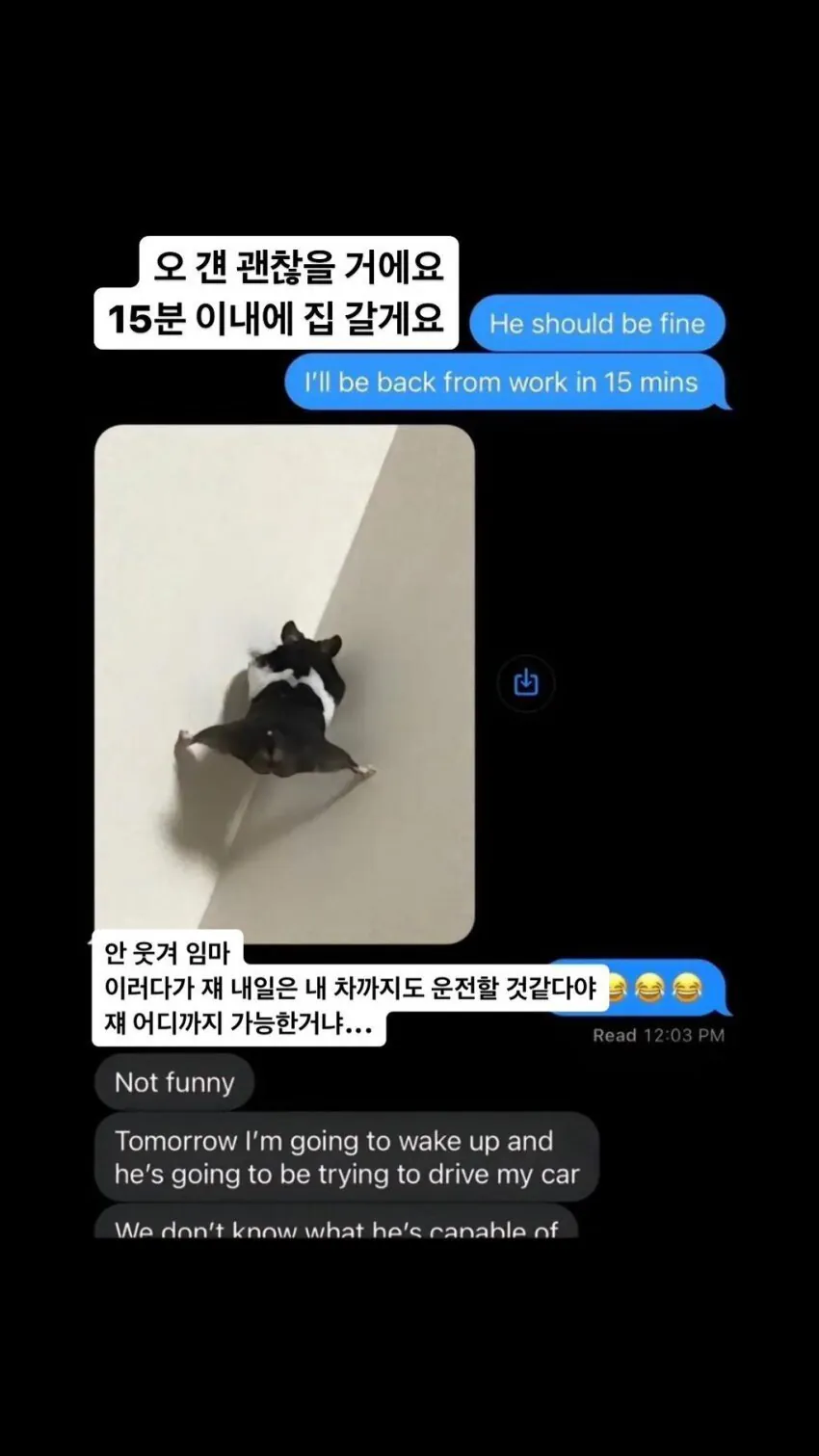 햄스터때문에 당황한 아버지 | 인스티즈