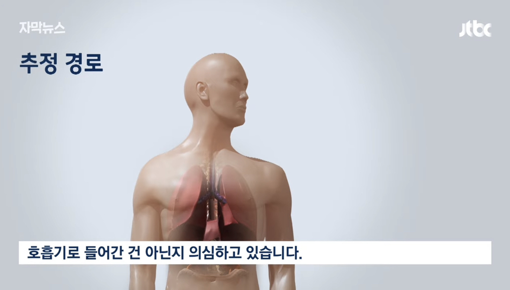 4대강 근황 | 인스티즈
