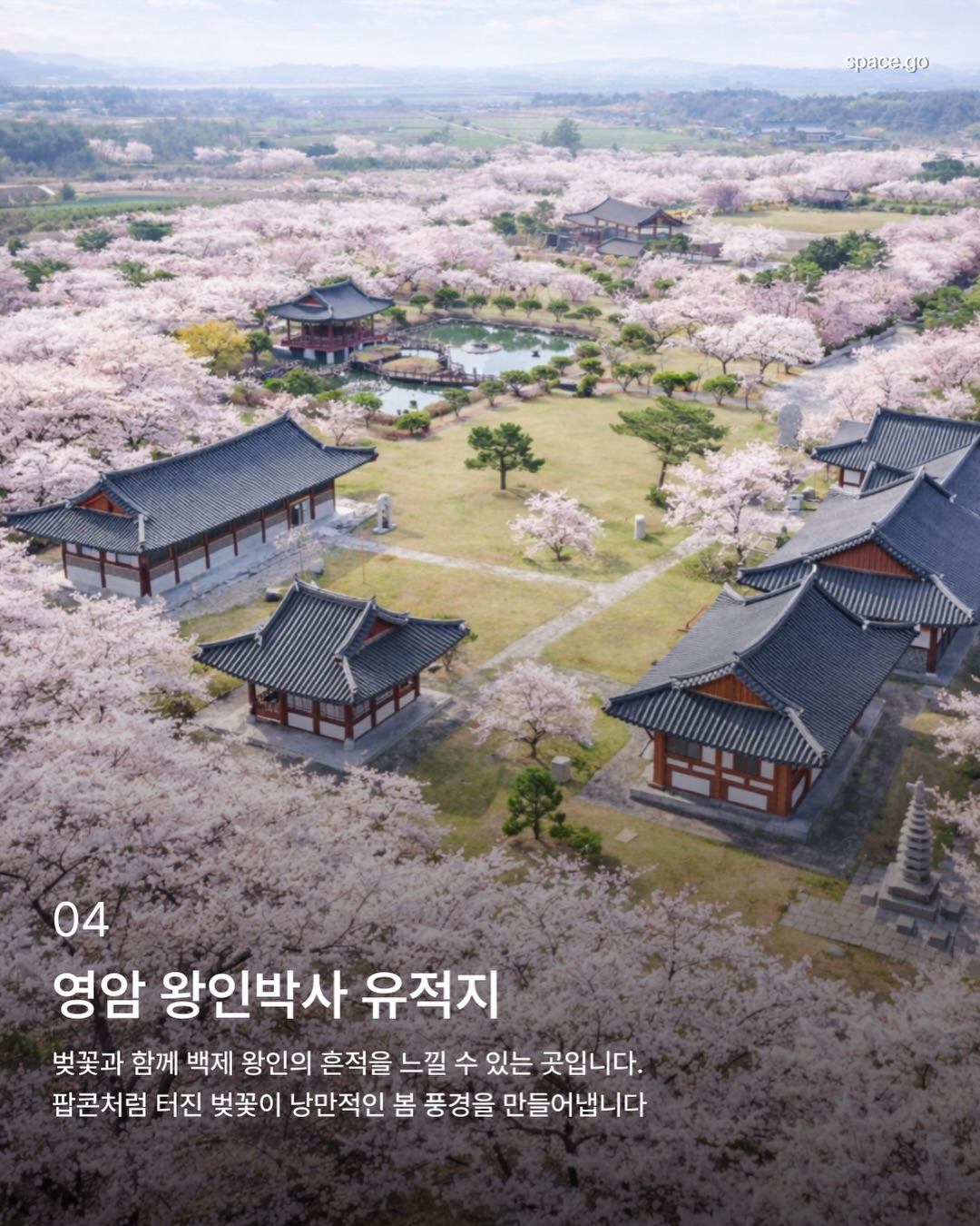 국내 꽃놀이 명소 | 인스티즈