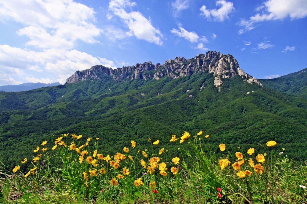 솔직히 한국 자연경관 중 월클급이라고 생각하는 곳.JPG | 인스티즈