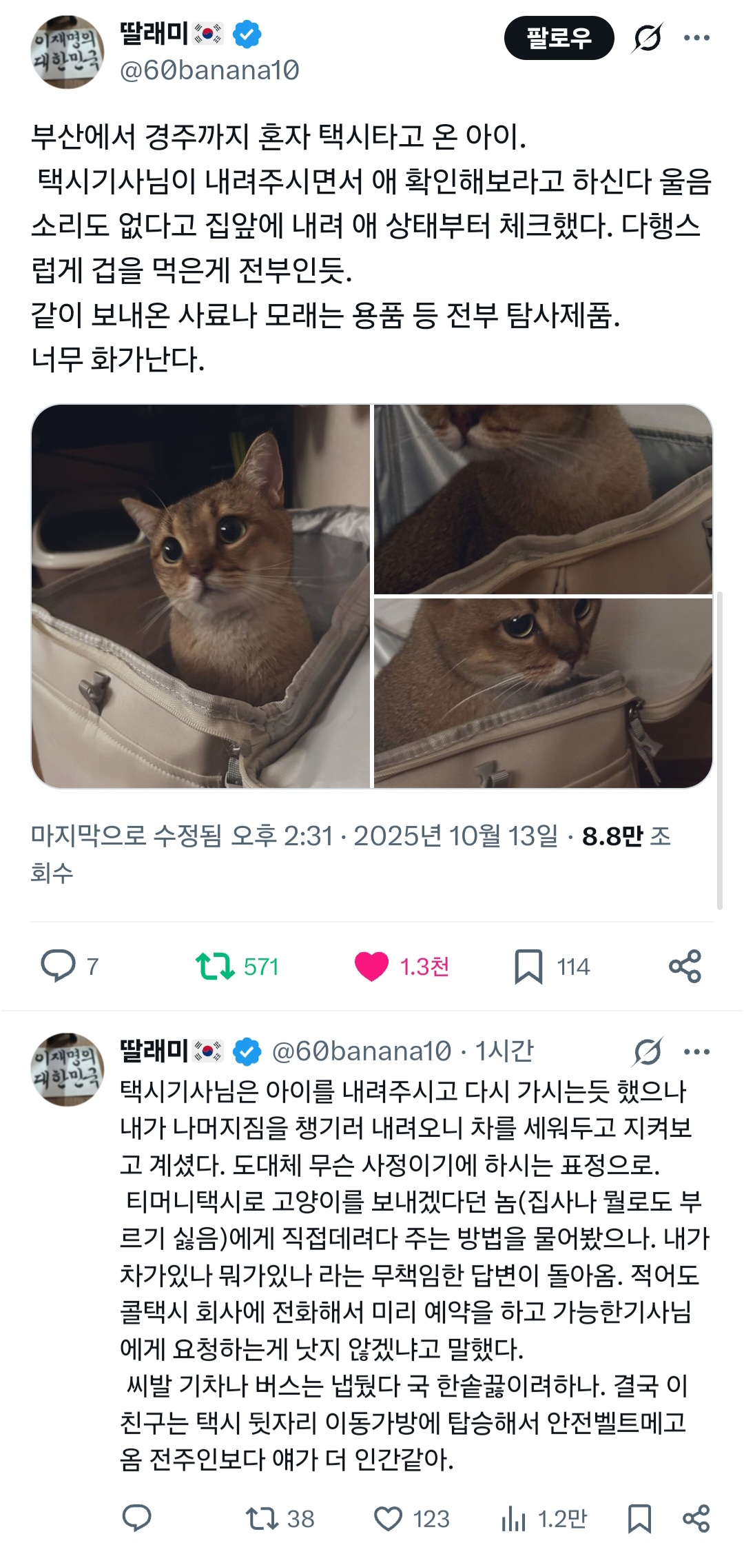부산에서 경주까지 혼자 택시타고 온 아이.twt | 인스티즈
